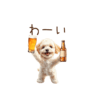 今日も一杯！トイプーのほろ酔いダンス（個別スタンプ：15）