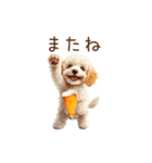 今日も一杯！トイプーのほろ酔いダンス（個別スタンプ：24）
