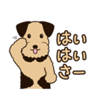 エアデールのテリアさんは大阪弁が得意（個別スタンプ：7）