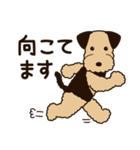 エアデールのテリアさんは大阪弁が得意（個別スタンプ：16）
