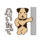 エアデールのテリアさんは大阪弁が得意（個別スタンプ：18）