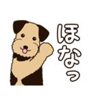 エアデールのテリアさんは大阪弁が得意（個別スタンプ：25）