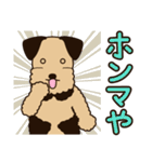エアデールのテリアさんは大阪弁が得意（個別スタンプ：30）