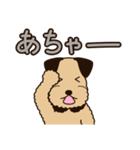 エアデールのテリアさんは大阪弁が得意（個別スタンプ：31）
