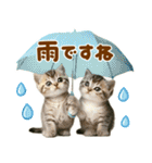 梅雨初夏♡にゃんこ（個別スタンプ：1）