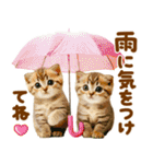梅雨初夏♡にゃんこ（個別スタンプ：3）