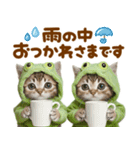 梅雨初夏♡にゃんこ（個別スタンプ：4）
