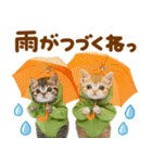 梅雨初夏♡にゃんこ（個別スタンプ：6）