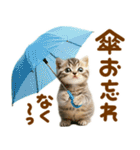 梅雨初夏♡にゃんこ（個別スタンプ：7）