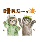 梅雨初夏♡にゃんこ（個別スタンプ：9）