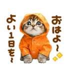 梅雨初夏♡にゃんこ（個別スタンプ：13）