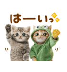 梅雨初夏♡にゃんこ（個別スタンプ：14）