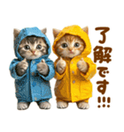 梅雨初夏♡にゃんこ（個別スタンプ：15）