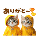 梅雨初夏♡にゃんこ（個別スタンプ：19）