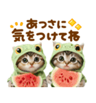 梅雨初夏♡にゃんこ（個別スタンプ：23）