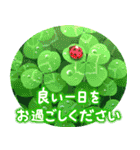 幸せ飛び出す♪四つ葉のクローバー（個別スタンプ：3）
