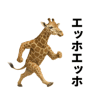 エッホエッホ どうぶつ園！！（個別スタンプ：3）