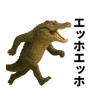 エッホエッホ どうぶつ園！！（個別スタンプ：9）