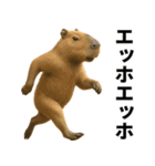 エッホエッホ どうぶつ園！！（個別スタンプ：12）