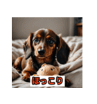ダックスフンドだよ！（個別スタンプ：13）
