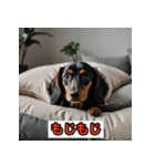 ダックスフンドだよ！（個別スタンプ：22）
