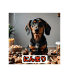 ダックスフンドだよ！（個別スタンプ：24）