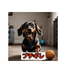 ダックスフンドだよ！（個別スタンプ：30）