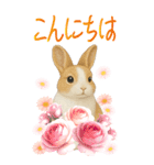 BIG うさぎとリスたちお花たくさんスタンプ（個別スタンプ：2）