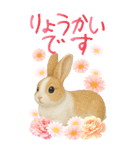 BIG うさぎとリスたちお花たくさんスタンプ（個別スタンプ：14）