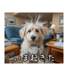 犬が言うから仕方ない。（個別スタンプ：1）