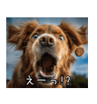 犬が言うから仕方ない。（個別スタンプ：2）