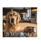 犬が言うから仕方ない。（個別スタンプ：7）
