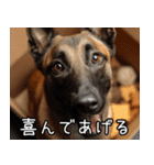 犬が言うから仕方ない。（個別スタンプ：11）