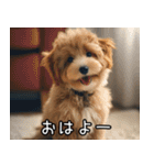 犬が言うから仕方ない。（個別スタンプ：13）