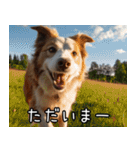 犬が言うから仕方ない。（個別スタンプ：15）