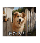 犬が言うから仕方ない。（個別スタンプ：16）