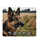 犬が言うから仕方ない。（個別スタンプ：23）