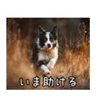 犬が言うから仕方ない。（個別スタンプ：25）