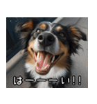 犬が言うから仕方ない。（個別スタンプ：26）