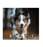 犬が言うから仕方ない。（個別スタンプ：29）