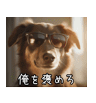 犬が言うから仕方ない。（個別スタンプ：31）