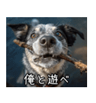 犬が言うから仕方ない。（個別スタンプ：32）
