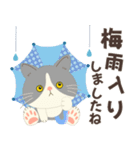 梅雨だよ！大雨注意【ハチワレコンビ】（個別スタンプ：1）