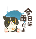 梅雨だよ！大雨注意【ハチワレコンビ】（個別スタンプ：2）