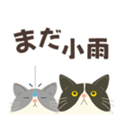 梅雨だよ！大雨注意【ハチワレコンビ】（個別スタンプ：3）