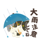 梅雨だよ！大雨注意【ハチワレコンビ】（個別スタンプ：4）