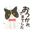 梅雨だよ！大雨注意【ハチワレコンビ】（個別スタンプ：6）