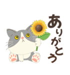 梅雨だよ！大雨注意【ハチワレコンビ】（個別スタンプ：7）
