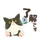 梅雨だよ！大雨注意【ハチワレコンビ】（個別スタンプ：8）