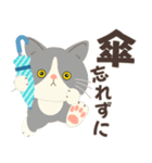 梅雨だよ！大雨注意【ハチワレコンビ】（個別スタンプ：9）